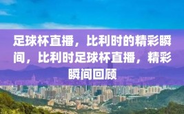 足球杯直播，比利时的精彩瞬间，比利时足球杯直播，精彩瞬间回顾