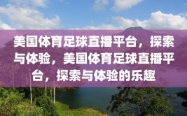 美国体育足球直播平台，探索与体验，美国体育足球直播平台，探索与体验的乐趣