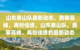 山东泰山队最新动态，勇攀高峰，再创佳绩，山东泰山队，勇攀高峰，再创佳绩的最新动态