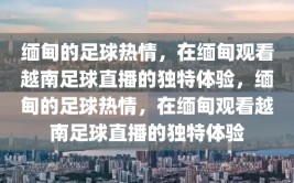 缅甸的足球热情，在缅甸观看越南足球直播的独特体验，缅甸的足球热情，在缅甸观看越南足球直播的独特体验