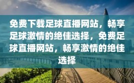 免费下载足球直播网站，畅享足球激情的绝佳选择，免费足球直播网站，畅享激情的绝佳选择