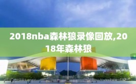 2018nba森林狼录像回放,2018年森林狼