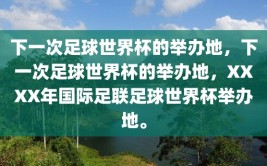 下一次足球世界杯的举办地，下一次足球世界杯的举办地，XXXX年国际足联足球世界杯举办地。