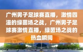 广州男子足球赛直播，激情四溢的绿茵场之战，广州男子足球赛激情直播，绿茵场之战的热血瞬间