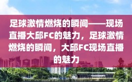 足球激情燃烧的瞬间——现场直播大邱FC的魅力，足球激情燃烧的瞬间，大邱FC现场直播的魅力