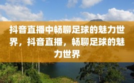 抖音直播中畅聊足球的魅力世界，抖音直播，畅聊足球的魅力世界