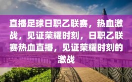 直播足球日职乙联赛，热血激战，见证荣耀时刻，日职乙联赛热血直播，见证荣耀时刻的激战