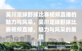 吴川足球野球比赛视频直播的魅力与风采，吴川足球野球比赛视频直播，魅力与风采的展现