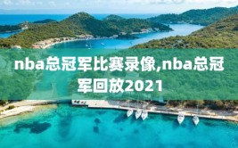 nba总冠军比赛录像,nba总冠军回放2021