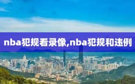 nba犯规看录像,nba犯规和违例