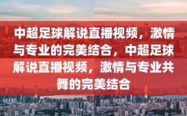 中超足球解说直播视频，激情与专业的完美结合，中超足球解说直播视频，激情与专业共舞的完美结合