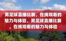 男足球直播比赛，在线观看的魅力与体验，男足球直播比赛，在线观看的魅力与体验