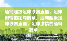 缅甸超级足球联赛直播，足球激情的缅甸篇章，缅甸超级足球联赛直播，足球激情的缅甸篇章