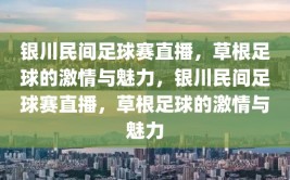 银川民间足球赛直播，草根足球的激情与魅力，银川民间足球赛直播，草根足球的激情与魅力