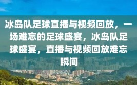 冰岛队足球直播与视频回放，一场难忘的足球盛宴，冰岛队足球盛宴，直播与视频回放难忘瞬间