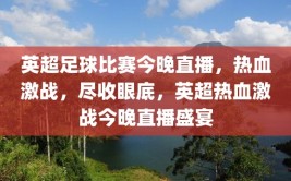 英超足球比赛今晚直播，热血激战，尽收眼底，英超热血激战今晚直播盛宴