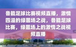 鲁能足球比赛视频直播，激情四溢的绿茵场之战，鲁能足球比赛，绿茵场上的激情之战视频直播