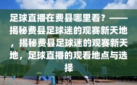 足球直播在费县哪里看？——揭秘费县足球迷的观赛新天地，揭秘费县足球迷的观赛新天地，足球直播的观看地点与选择