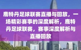 鹿特丹足球联赛直播与回放，一场精彩赛事的深度解析，鹿特丹足球联赛，赛事深度解析与直播回放