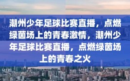 潮州少年足球比赛直播，点燃绿茵场上的青春激情，潮州少年足球比赛直播，点燃绿茵场上的青春之火