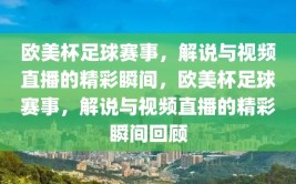 欧美杯足球赛事，解说与视频直播的精彩瞬间，欧美杯足球赛事，解说与视频直播的精彩瞬间回顾