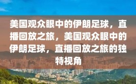 美国观众眼中的伊朗足球，直播回放之旅，美国观众眼中的伊朗足球，直播回放之旅的独特视角