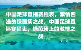 中国足球直播赛程表，激情四溢的绿茵场之战，中国足球直播赛程表，绿茵场上的激情之战