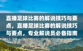 直播足球比赛的解说技巧与要点，直播足球比赛的解说技巧与要点，专业解说员必备指南