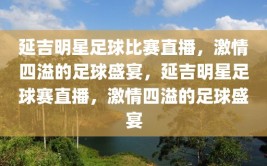 延吉明星足球比赛直播，激情四溢的足球盛宴，延吉明星足球赛直播，激情四溢的足球盛宴