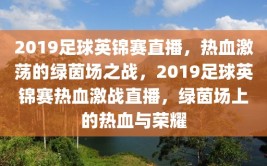 2019足球英锦赛直播，热血激荡的绿茵场之战，2019足球英锦赛热血激战直播，绿茵场上的热血与荣耀