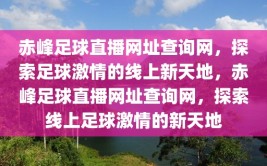 赤峰足球直播网址查询网，探索足球激情的线上新天地，赤峰足球直播网址查询网，探索线上足球激情的新天地