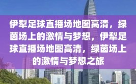 伊犁足球直播场地图高清，绿茵场上的激情与梦想，伊犁足球直播场地图高清，绿茵场上的激情与梦想之旅