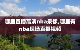 哪里直播高清nba录像,哪里有nba现场直播视频