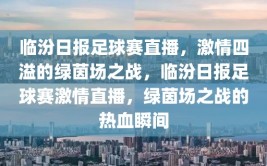 临汾日报足球赛直播，激情四溢的绿茵场之战，临汾日报足球赛激情直播，绿茵场之战的热血瞬间