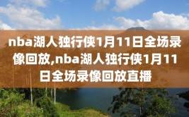 nba湖人独行侠1月11日全场录像回放,nba湖人独行侠1月11日全场录像回放直播