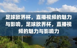 足球欧界杯，直播视频的魅力与影响，足球欧界杯，直播视频的魅力与影响力