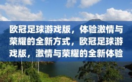 欧冠足球游戏版，体验激情与荣耀的全新方式，欧冠足球游戏版，激情与荣耀的全新体验