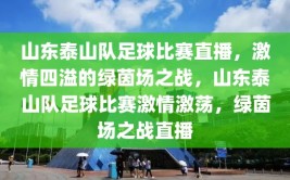 山东泰山队足球比赛直播，激情四溢的绿茵场之战，山东泰山队足球比赛激情激荡，绿茵场之战直播