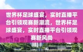 世界杯足球盛宴，实时直播平台引领观赛新潮流，世界杯足球盛宴，实时直播平台引领观赛新风尚