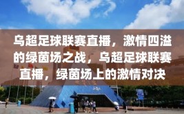 乌超足球联赛直播，激情四溢的绿茵场之战，乌超足球联赛直播，绿茵场上的激情对决