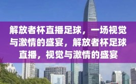 解放者杯直播足球，一场视觉与激情的盛宴，解放者杯足球直播，视觉与激情的盛宴