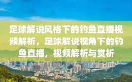 足球解说风格下的钓鱼直播视频解析，足球解说视角下的钓鱼直播，视频解析与赏析