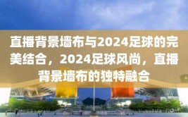 直播背景墙布与2024足球的完美结合，2024足球风尚，直播背景墙布的独特融合