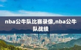 nba公牛队比赛录像,nba公牛队战绩