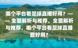 哪个平台看足球直播好用？—— 全面解析与推荐，全面解析与推荐，哪个平台看足球直播最好用？