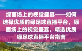 绿茵场上的视觉盛宴——如何选择优质的绿足球直播平台，绿茵场上的视觉盛宴，精选优质绿足球直播平台指南