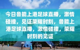 今日鲁能上港足球直播，激情碰撞，见证荣耀时刻，鲁能上港足球直播，激情碰撞，荣耀时刻的见证