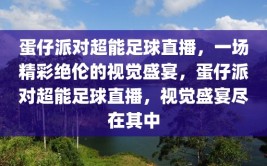 蛋仔派对超能足球直播，一场精彩绝伦的视觉盛宴，蛋仔派对超能足球直播，视觉盛宴尽在其中