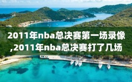 2011年nba总决赛第一场录像,2011年nba总决赛打了几场