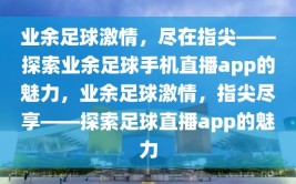 业余足球激情，尽在指尖——探索业余足球手机直播app的魅力，业余足球激情，指尖尽享——探索足球直播app的魅力